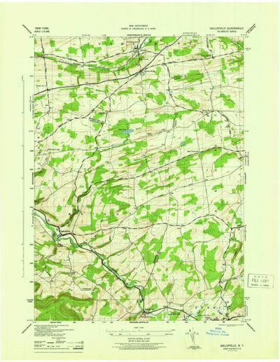 United States Geological Survey Gallupville, NY (1946, 31680-Scale) digital map