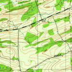 United States Geological Survey Gallupville, NY (1946, 31680-Scale) digital map