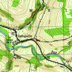 United States Geological Survey Gallupville, NY (1946, 31680-Scale) digital map