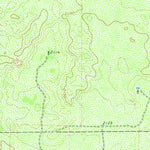 United States Geological Survey Gant Hills, TX (1969, 24000-Scale) digital map