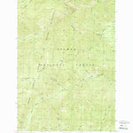 United States Geological Survey Gant Ridge, ID (1989, 24000-Scale) digital map