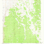 United States Geological Survey Garden Spring Canyon, NM (1982, 24000-Scale) digital map