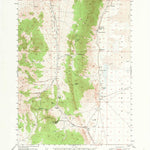 United States Geological Survey Garden Valley, NV (1949, 62500-Scale) digital map