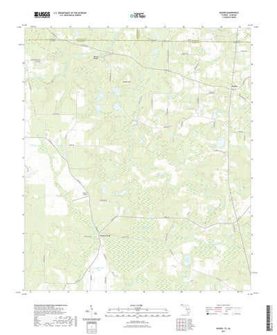 United States Geological Survey Gaskin, FL (2021, 24000-Scale) digital map