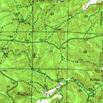 United States Geological Survey Gatewood, MO (1945, 62500-Scale) digital map