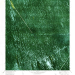 United States Geological Survey Gator Lake, FL (1973, 24000-Scale) digital map