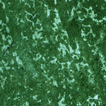 United States Geological Survey Gator Lake, FL (1973, 24000-Scale) digital map