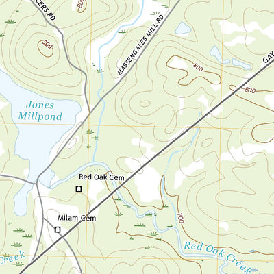 United States Geological Survey Gay, GA (2020, 24000-Scale) digital map