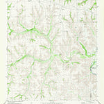 United States Geological Survey Geddis Canyon East, TX (1980, 24000-Scale) digital map