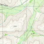 United States Geological Survey Geddis Canyon East, TX (1980, 24000-Scale) digital map