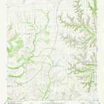 United States Geological Survey Geddis Canyon West, TX (1980, 24000-Scale) digital map