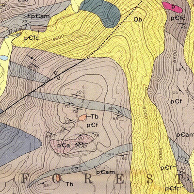 United States Geological Survey General geology of the Hahns Peak and Farwell Mountain quadrangles, Routt County, Colorado digital map