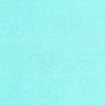 United States Geological Survey Georgetown, SC-NC (1967, 250000-Scale) digital map