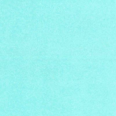 United States Geological Survey Georgetown, SC-NC (1967, 250000-Scale) digital map