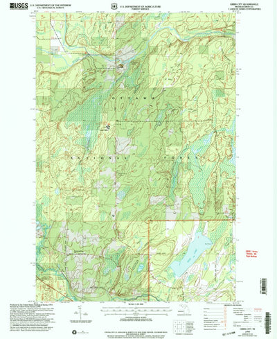 United States Geological Survey Gibbs City, MI (1999, 24000-Scale) digital map