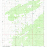 United States Geological Survey Gilmore Draw, NM (1981, 24000-Scale) digital map