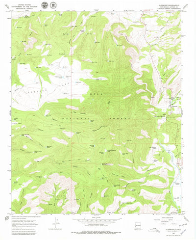 United States Geological Survey Glenwood, NM (1965, 24000-Scale) digital map