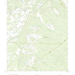 United States Geological Survey Glissons Millpond, GA (2020, 24000-Scale) digital map