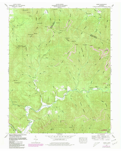United States Geological Survey Gobey, TN (1952, 24000-Scale) digital map