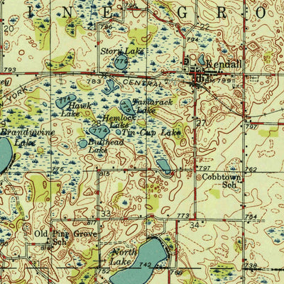 United States Geological Survey Gobles, MI (1946, 62500-Scale) digital map