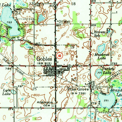 United States Geological Survey Gobles, MI (1948, 62500-Scale) digital map