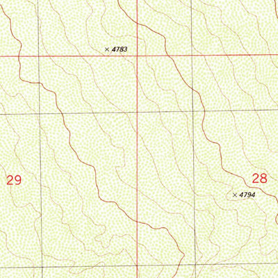 United States Geological Survey Goldenburg Draw, NM (1981, 24000-Scale) digital map