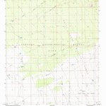 United States Geological Survey Goldenburg Draw, NM (1996, 24000-Scale) digital map