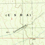 United States Geological Survey Goldenburg Draw, NM (1996, 24000-Scale) digital map