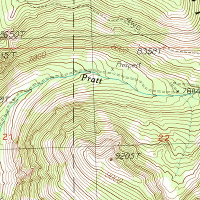 United States Geological Survey Goldstone Pass, MT-ID (1989, 24000-Scale) digital map