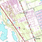 United States Geological Survey Gomez, FL (1948, 24000-Scale) digital map