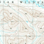 United States Geological Survey Goodnews Bay B-2, AK (1979, 63360-Scale) digital map