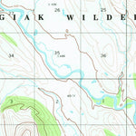 United States Geological Survey Goodnews Bay C-3, AK (1979, 63360-Scale) digital map