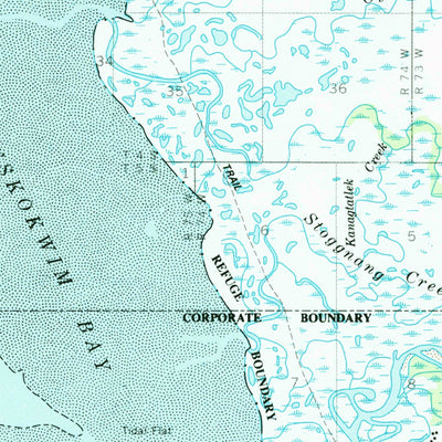 United States Geological Survey Goodnews Bay D-8, AK (1954, 63360-Scale) digital map