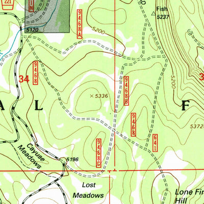 United States Geological Survey Goodwin Meadows, ID (1995, 24000-Scale) digital map