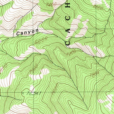 United States Geological Survey Grace, ID (1982, 24000-Scale) digital map