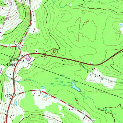 United States Geological Survey Grahamsville, NY (1982, 24000-Scale) digital map