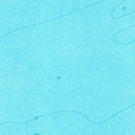 United States Geological Survey Grand Isle, LA (1973, 24000-Scale) digital map