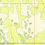 United States Geological Survey Grant, FL (1951, 24000-Scale) digital map