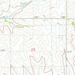 United States Geological Survey Grant, IA (1980, 24000-Scale) digital map