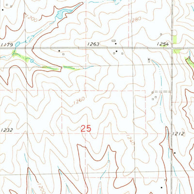 United States Geological Survey Grant, IA (1980, 24000-Scale) digital map