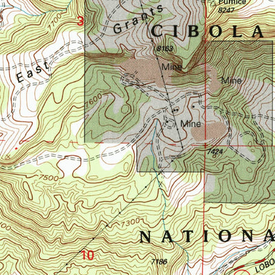 United States Geological Survey Grants, NM (1995, 24000-Scale) digital map