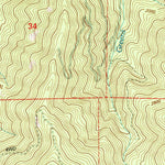 United States Geological Survey Grants Pass, OR (1996, 24000-Scale) digital map