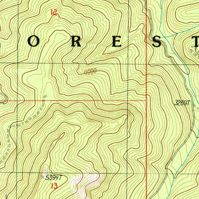 United States Geological Survey Grasshopper Mountain, OR (1986, 24000-Scale) digital map