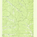 United States Geological Survey Graves Spring, TN (1936, 24000-Scale) digital map