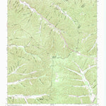 United States Geological Survey Graves Spring, TN (1951, 24000-Scale) digital map