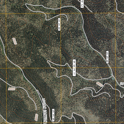 United States Geological Survey Graveyard Canyon, NM (2011, 24000-Scale) digital map