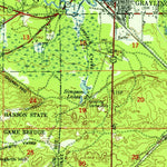 United States Geological Survey Grayling, MI (1949, 62500-Scale) digital map
