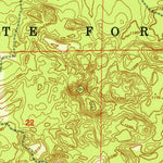 United States Geological Survey Grayling, MI (1951, 24000-Scale) digital map