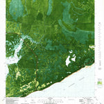 United States Geological Survey Green Point, FL (1982, 24000-Scale) digital map