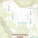 United States Geological Survey Greer, AZ (2021, 24000-Scale) digital map